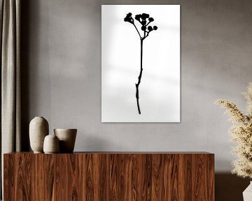 Botanical basics. Black and white drawing of a simple flower no.1 by Dina Dankers