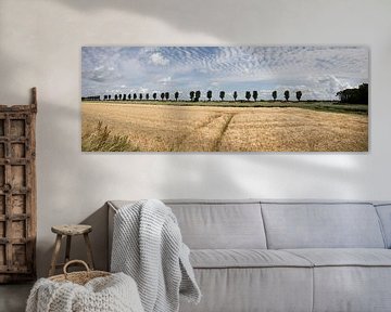 panorama van een landschap met een graanveld en stapelwolken van W J Kok