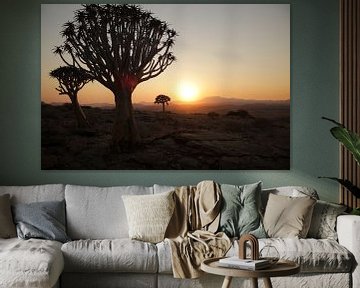 Zonsondergang in de woestijn, Namibië, Afrika van Bin Chen