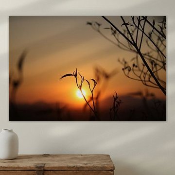 Sunset in the background