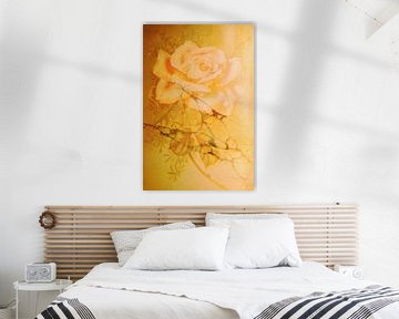 An orange rose by Jeanet Francke