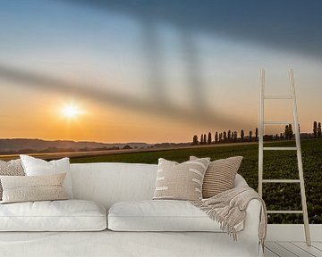 Sonnenaufgang mit schönem Blick auf die typischen italienischen Pappeln von Kim Willems