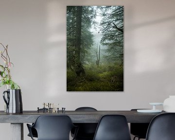 Mystical misty atmosphere in the mountain spruce forest 3 by Holger Spieker