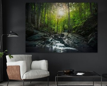 Stream waterfall inside a forest. Apennines, Italy by Stefano Orazzini