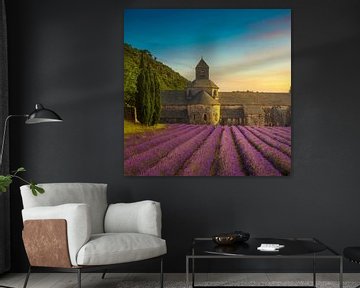 Sénanque Abbey and lavender flowers. France by Stefano Orazzini