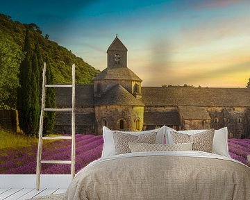 Sénanque Abbey and lavender flowers. France by Stefano Orazzini