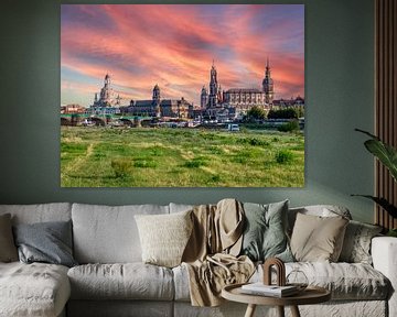 De skyline van Dresden aan de oevers van de Elbe van Animaflora PicsStock