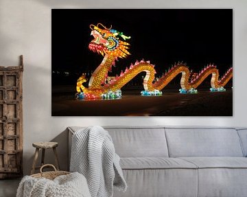 dragon chinois sur Rogier Vermeulen