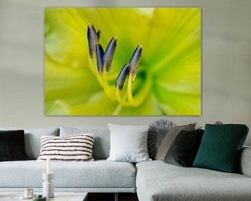 Yellow Lily with Blue Stamen by Iris Holzer Richardson