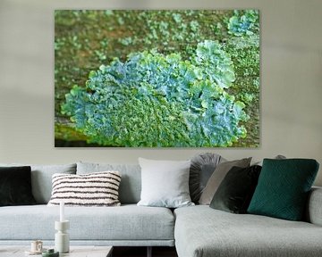 Groene en blauwe korstmossen Macro 023 van Iris Holzer Richardson