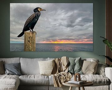 Un cormoran observe un coucher de soleil depuis un poteau sur Eric Wander