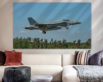 Décollage du Boeing F/A-18E Super Hornet de la marine américaine. sur Jaap van den Berg