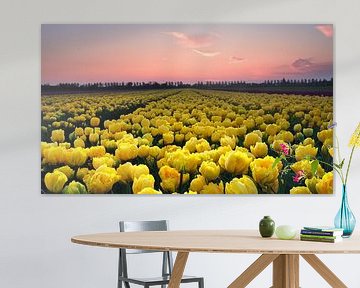 Tulpenveld bij zonsondergang van John Leeninga