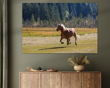 Haflinger in galop by Marcel Antons