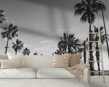 Barceloneta Boulevard| Palm trees | Zwrt white by Roanna Fotografie