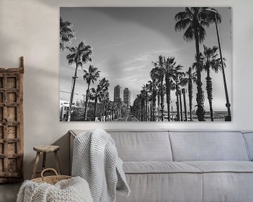 Barceloneta Boulevard| Palm trees | Zwrt white by Roanna Fotografie