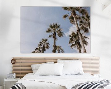 Palm bomen | Barcelona | Spanje van Roanna Fotografie