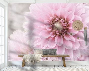 Dahlia. Delicate beauty. by Alie Ekkelenkamp