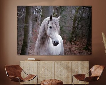 Weißes Pferd im Wald von Marieke De Boer