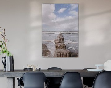 Plage d'Ameland sur Roanna Fotografie