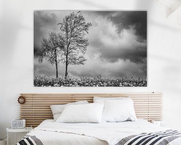Birke mit Wolken in Schwarz und Weiß von Piet Spierings