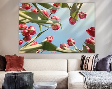 Rode tulpenveld van onderen by Sandra Keereweer