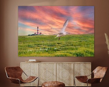 Seagull in the salt marshes at the North Sea by Animaflora PicsStock