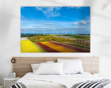 Tulpen in landbouwvelden met windturbines op de achtergrond