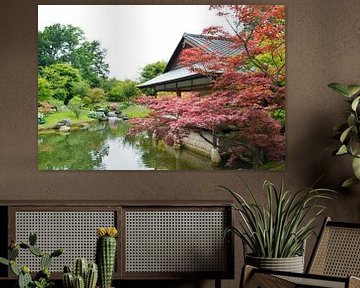 Japanse tuin in Hasselt België van Susan Dekker