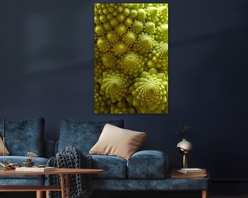 Macro photo of a Romanesco Brassica oleracea by Felix Marx