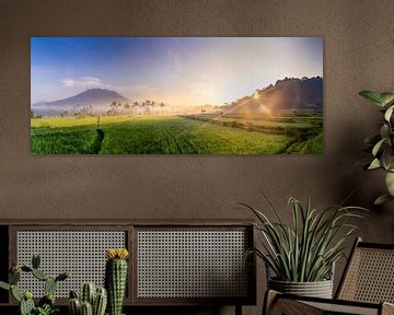 Le volcan Agung de Bali en panorama sur Danny Bastiaanse