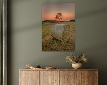 Hay rolls on a pasture by Moetwil en van Dijk - Fotografie