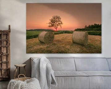 Hay rolling on a meadow at sunset