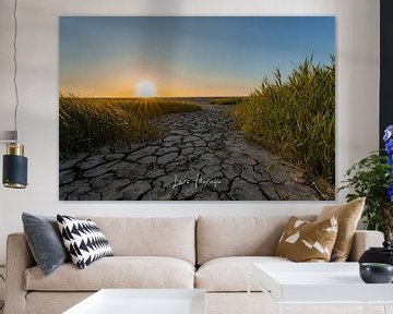 The Friesian wadden coast by lars Bosch