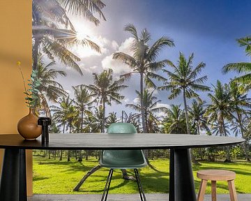 Palmen im Paradies Bali