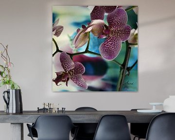 Orchid by Iwona Sdunek alias ANOWI