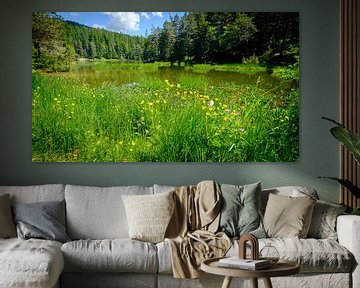 Sea of flowers at the lake by Ineke Huizing