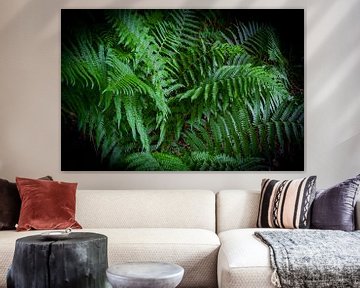 Ferns in a bright green colour by Ineke Huizing