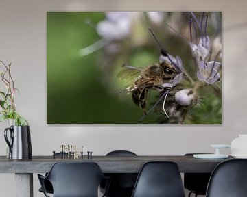 Honingbij op een wilde bloem van Ulrike Leone