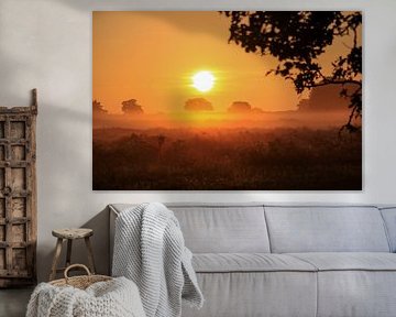 Golden hour heath by EC Art