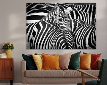 I see zebra stripes by Sharing Wildlife