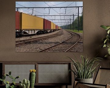 Goederen wagons op rangeerterrein in Homburg, België van Robin Jongerden