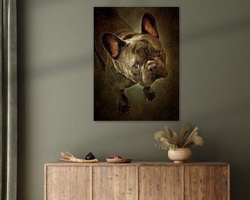 Franse Bulldog Gestroomde Kleur van Dorothy Berry-Lound