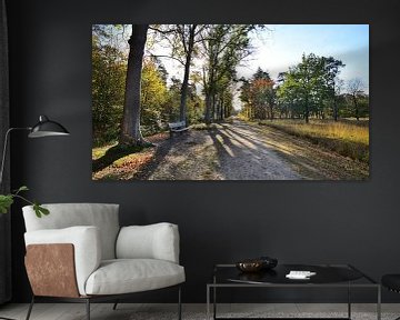 Bankje in het herfst bos van Evert-Jan Hoogendoorn
