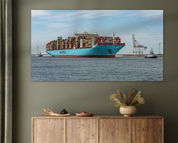 Mega-sized container ship the Mette Maersk. by Jaap van den Berg