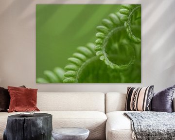 Spiral fern leaf by mekke