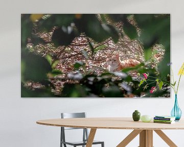 Die Sonne aufsaugen von Jan van der Knaap