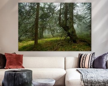 Mystical misty atmosphere in the mountain spruce forest 5 by Holger Spieker