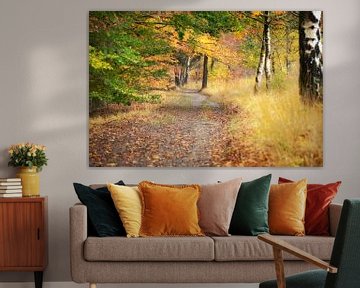 Herfstlandschap in oeroud natuurgebied van Fotografiecor .nl