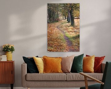 Spazierweg in einer Baumallee im Herbst von Fotografiecor .nl